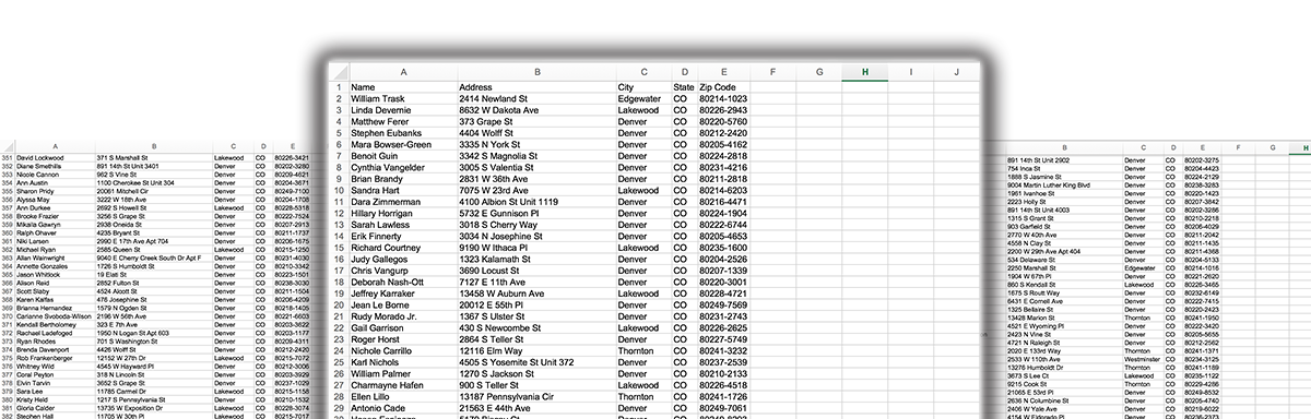 Image of a sample of daily pre-mover leads on excel spreadsheet used for mailing lists for direct mail